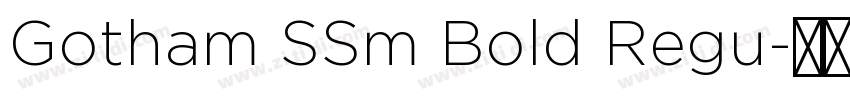 Gotham SSm Bold Regu字体转换